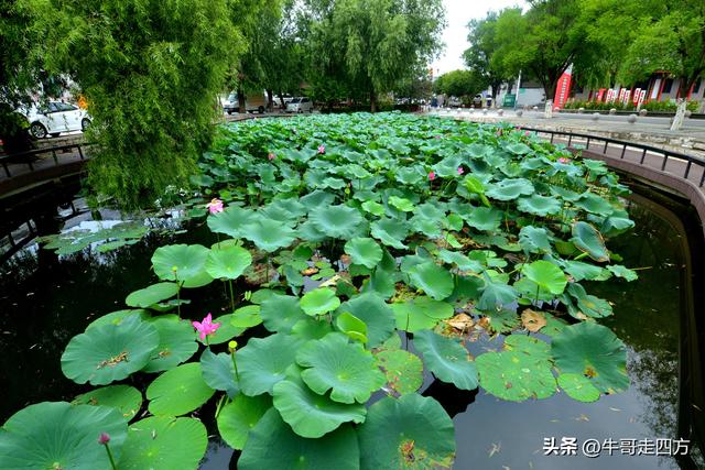宝坻小辛码头：古渡辛埠藏雅韵，漕声千载忆根源