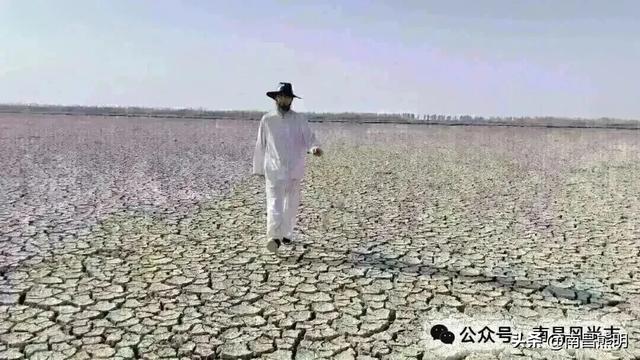 湾里揽胜:蟠龙峰下茶养云