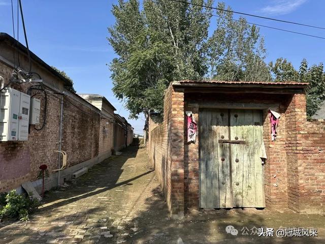 冠县乡韵·兰沃乡大柳邵村