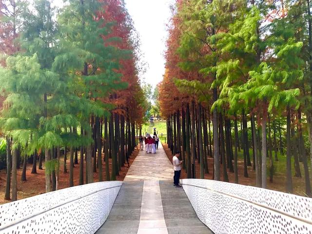 秋色斑斓美如画