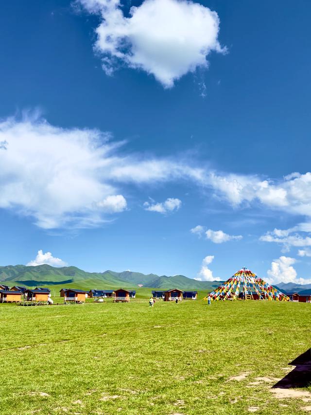 绿野寻梦（甘南州夏河县桑科草原）