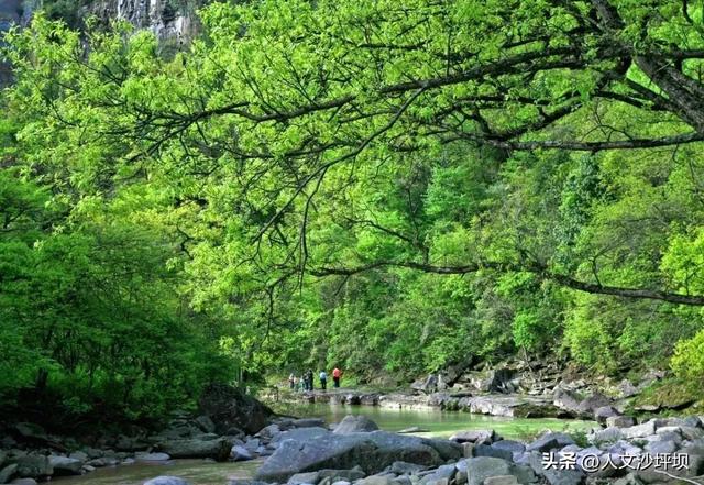这5个宝藏避暑地，白天耍水、晚上盖被子，本地人都私藏！