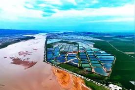 葡萄界爱马仕，论颗卖的妮娜皇后，99%的人都没吃过图片