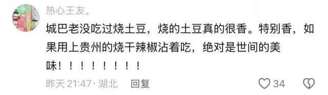 报！在内蒙古捡土豆快乐疯了！