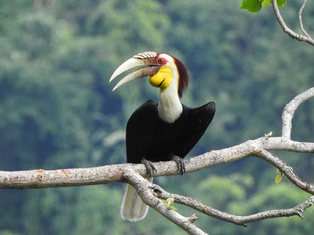 携台湾亲朋自驾游滇西南之十一