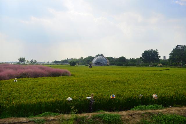 【老丁游记】20251002-1012 国庆假期南游记06