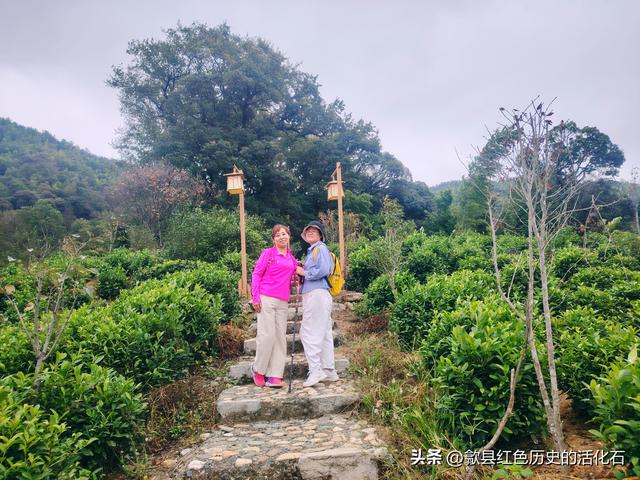 徒步周（家山）查（平坦）古道赏秋景