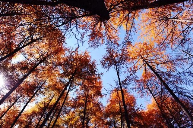 神木垒&达瓦更扎进入美貌开挂模式，请做好相关旅游准备！