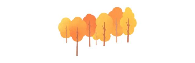 周五宠粉日|3条宝藏慢跑路线解锁秋日运动活力,文末还有海湾国家森林公园门票相赠!