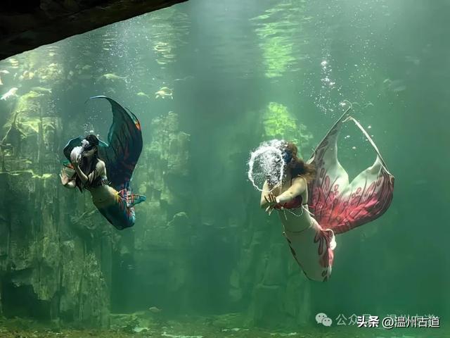 温州这个以畲族始祖命名的4A级景区，秘藏着一座“生物王国”！