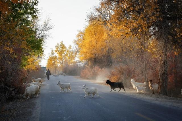 我52岁，找了个62岁老头搭伙过日子，发现男人年纪大了照样“作”