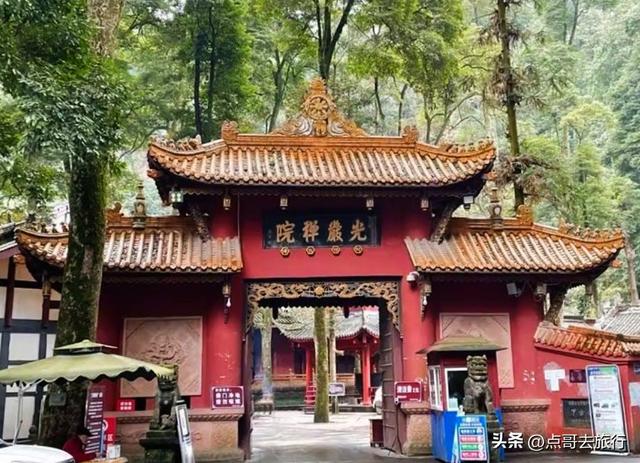 成都崇州徒步首选，被低估的森林路线，全部免费，风景超级惊艳！