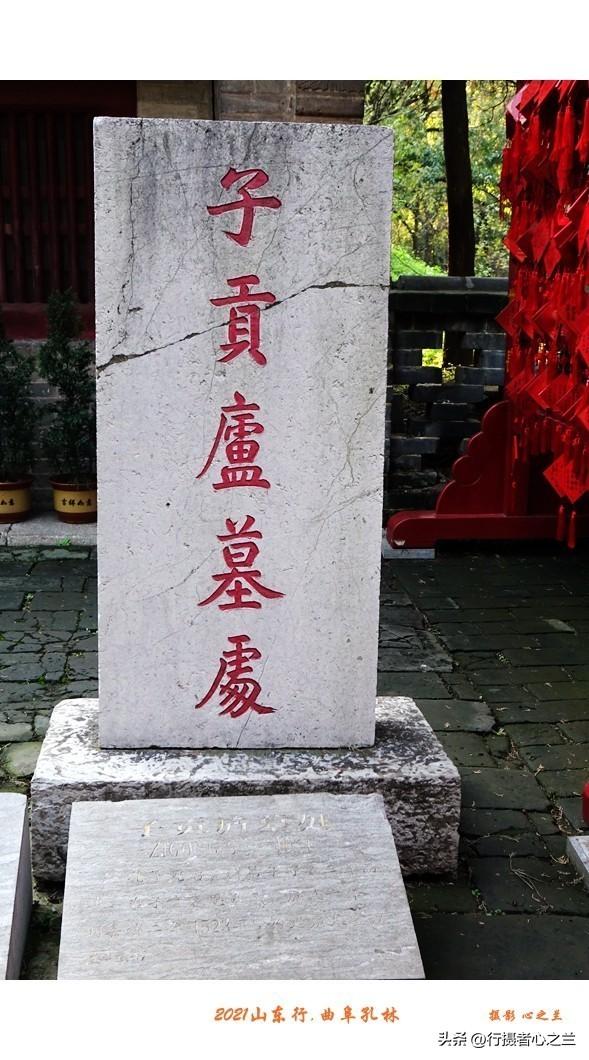 山东行游影记（228）—曲阜孔林（四）