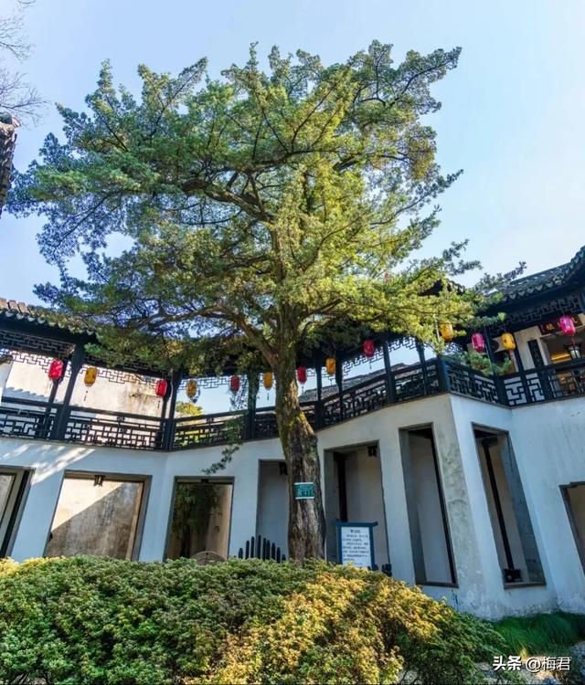 乾隆六巡裁桂雨,一城香史落谁襟