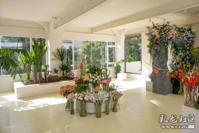 旅居云南·昆明好在（二十六）打卡百里·春秋——春城会客厅