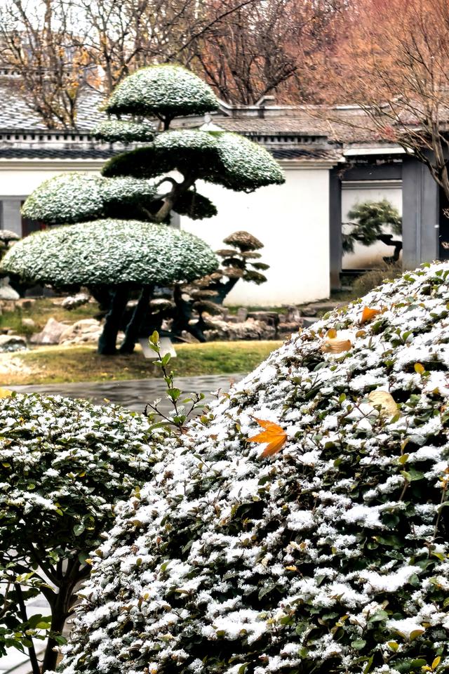 初雪滤镜下的潍坊，美得不一样~