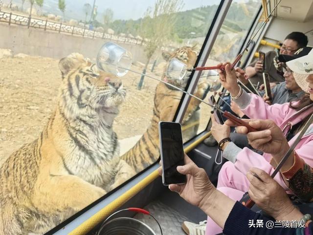 好客山东好品山东｜临沂遛娃去哪儿？初冬攻略收藏就出发～