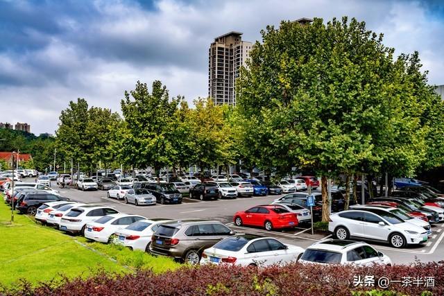 南京市全部区域内免费自驾车停车露营地，主要好玩景点及特色美食