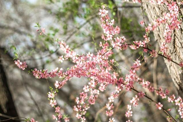 我给嫂子送孩子衣服，她刚出浴围着浴巾，红着脸让我进去喝水