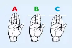 你的手指长度暴露了你的“本性”：食指越长的人，越“女性化”图片