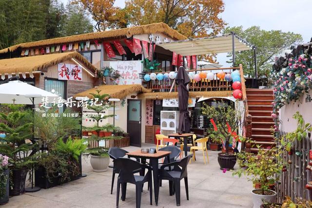 浙江宁波少有的水乡古镇，银杏大道与银杏林太美了，错过再等一年