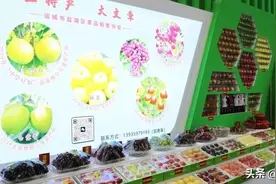 第七届山西（运城）国际果品交易博览会开幕图片