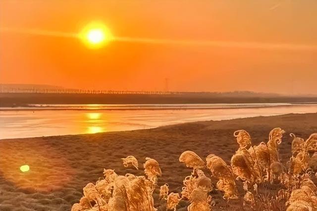 秋深景更美！运城最绚烂时刻到了！