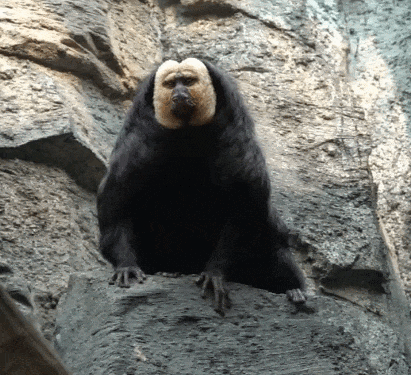 排队3小时，消费300！不起眼的旧园子，硬是把年轻人卷疯了