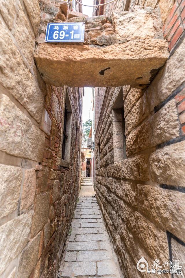 一马当先！快来泉州追“马”掀热潮