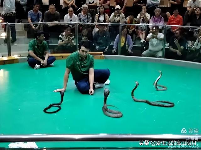 泰国旅游第四日