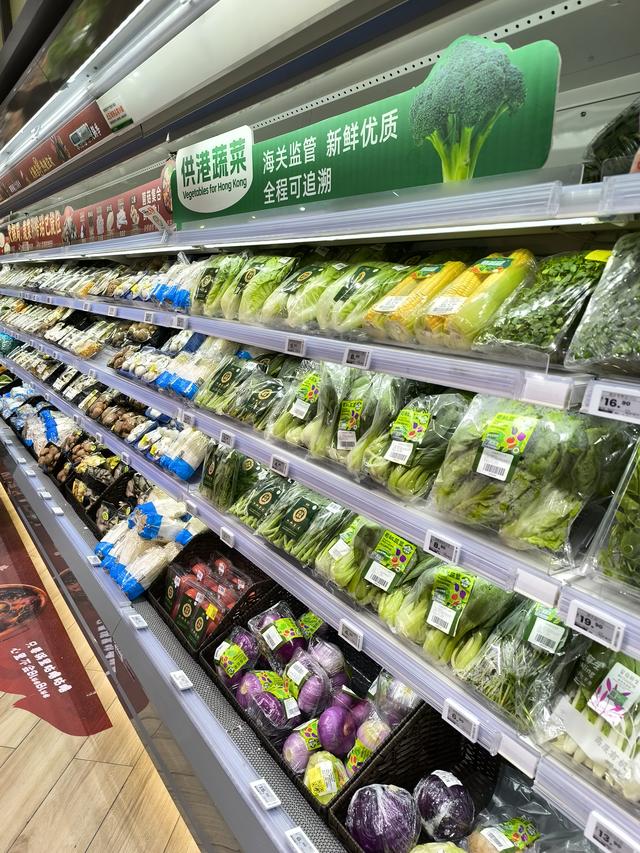 东北人在连云港过冬暂住反馈:宜居暖意里藏着长久念想