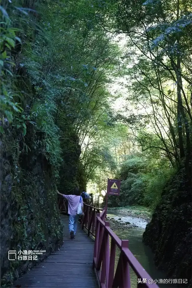 不用爬山！陕南原生态峡谷，瀑布吊桥、一步一景，景美休闲人不累