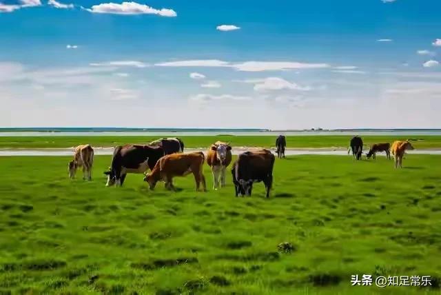 这个一妻多夫制的民族，晚上怎么过？女人直言：没有幸福可言