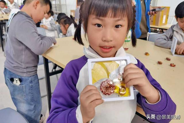 岭南冬如春，童趣蝶翩跹，学子来到佛山卡玛花世界开启蝴蝶研学