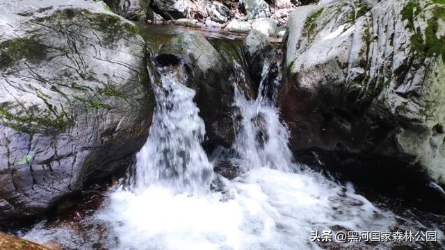 夏季避暑有“凉”方,黑河山水邀你共赴清凉盛宴!