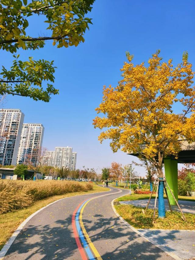 逛起来！8小时10个公园！