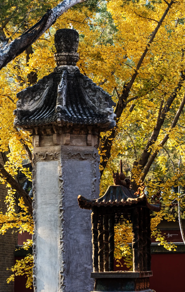 现在，香山“秋日皮肤”已加载85%！来查收