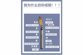 为什么劝你戒烟，看到这张图感想如何图片
