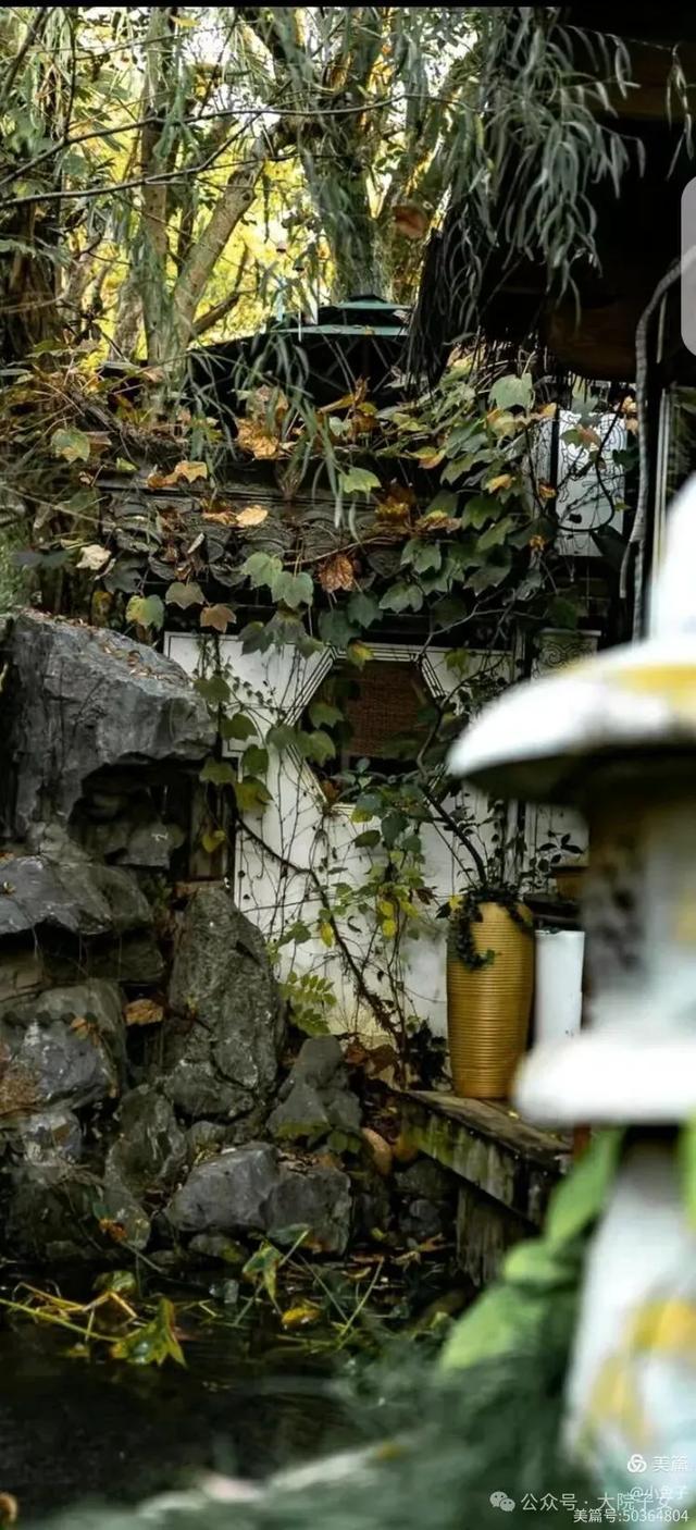 黎如芷｜一园藏尽徽州魂，刘园古徽州文化园