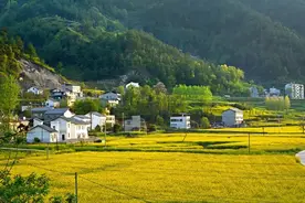 从5个案例看生活中的烟火气图片