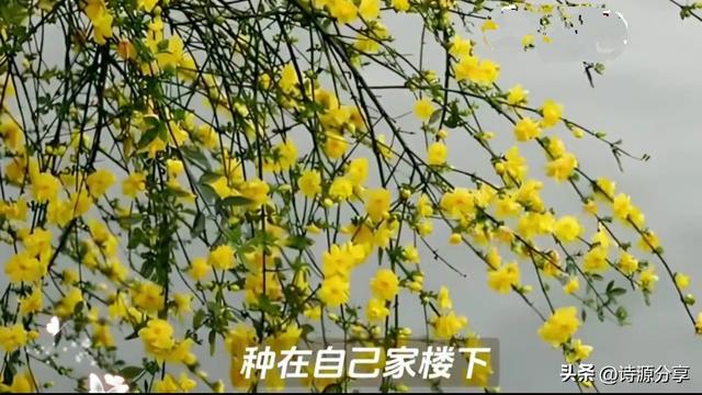 李佩:用一生深情，续写与郭永怀共赴星辰之恋