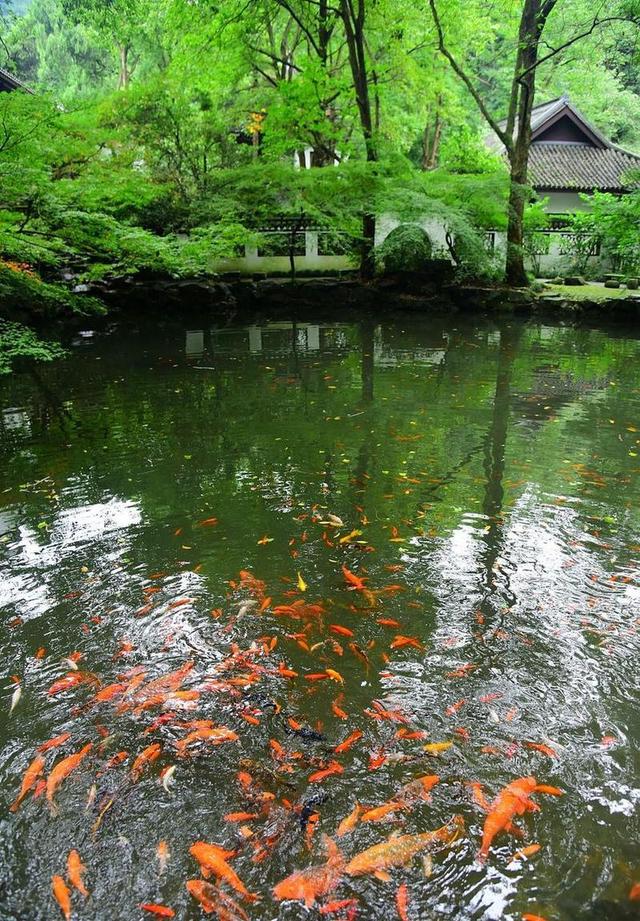 舍弃 3.6 亿门票！杭州灵隐寺永久免票，算透城市发展大账