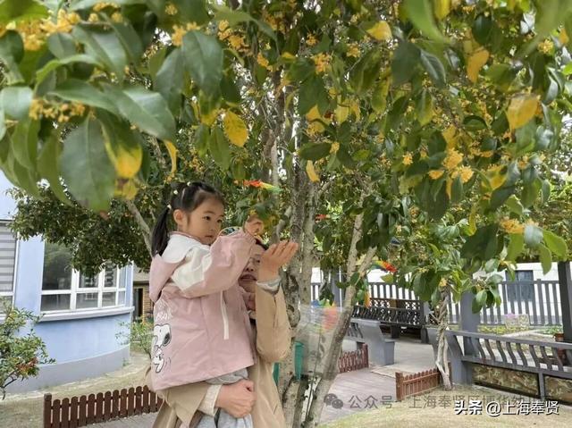 奉浦校园初冬美景大赏，你家娃的学校藏着这样的冬日浪漫