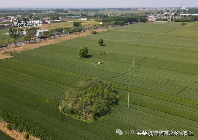 行车来到邯郸讲武城东,已经是东魏、北齐勋贵墓群的过渡带