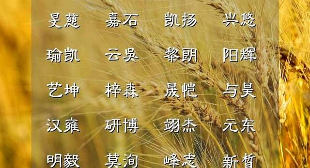 告别烂大街的名字，精心设计的仔细细心的佳名分享