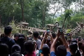 怎么会有熊猫的名字直接叫安逸啊图片