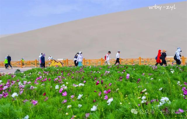 快来看，大漠敦煌又一波花海来袭
