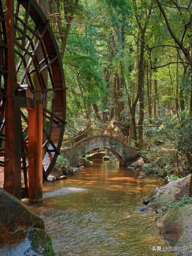 三月女士免票，男士半价！鸡公山邀您双园畅玩