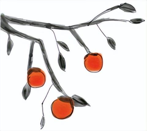 旅居隆阳·寻旅篇丨解锁千年古道的烟火与惊喜