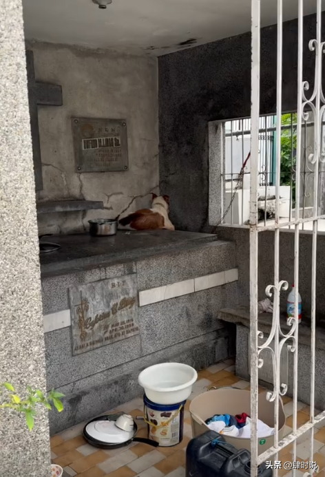 穷连鬼都不怕！探秘菲律宾墓地贫民窟，人和棺材朝夕相处 白骨露天